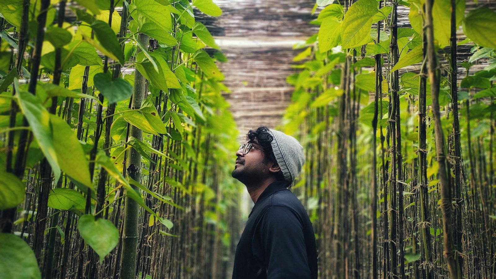 Kawsar Ahamed
